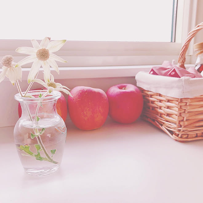 セリア 切り花がある暮らし フランネルフラワー キッチン キッチンのインテリア実例 03 01 21 16 46 Roomclip ルームクリップ