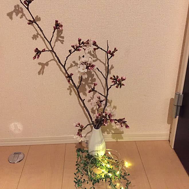 玄関 入り口 和の暮らし 桜の木 ダイソーの花瓶 買ったぞーو ت ٩ などのインテリア実例 19 03 27 01 01 50 Roomclip ルームクリップ