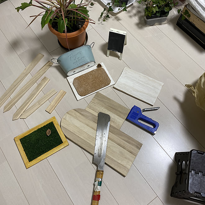 英語の成績は0 憧れのストーリードボードも作った アイデア浮かんで黙々と W 観葉植物の寄せ植え大好き W 犬のいる暮らし などのインテリア実例 21 02 09 21 30 00 Roomclip ルームクリップ
