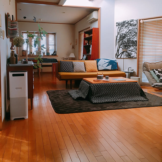 部屋全体/こたつ/北欧家具/GE258/クッション...などのインテリア実例 - 2017-11-28 02:35:20