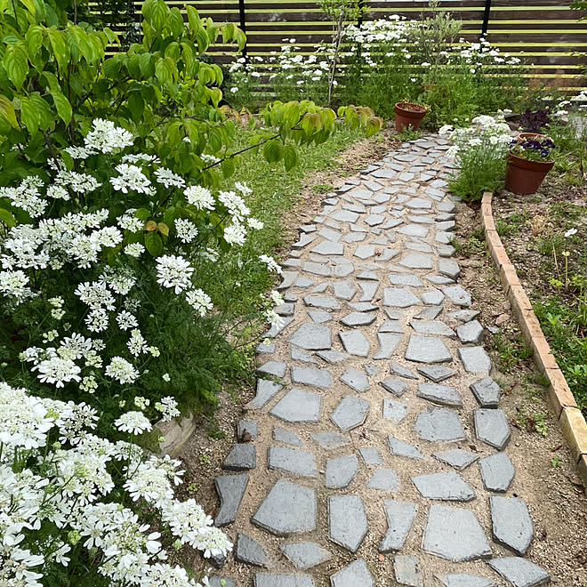 ガーデニング ガーデニング初心者 オルレア Diy女子 休日の過ごし方 などのインテリア実例 22 05 19 14 42 13 Roomclip ルームクリップ