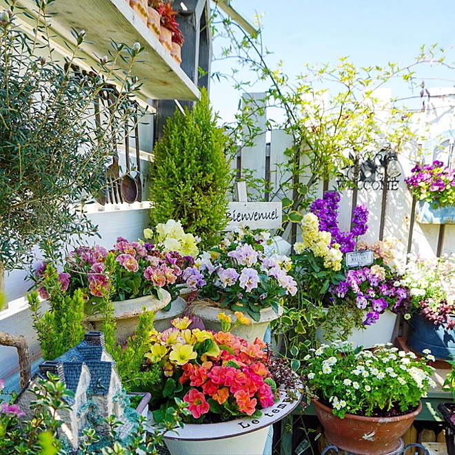 ベランダdiy 植物のある暮らし 花の寄せ植え ガーデニング ベランダガーデニング などのインテリア実例 22 03 19 08 46 37 Roomclip ルームクリップ