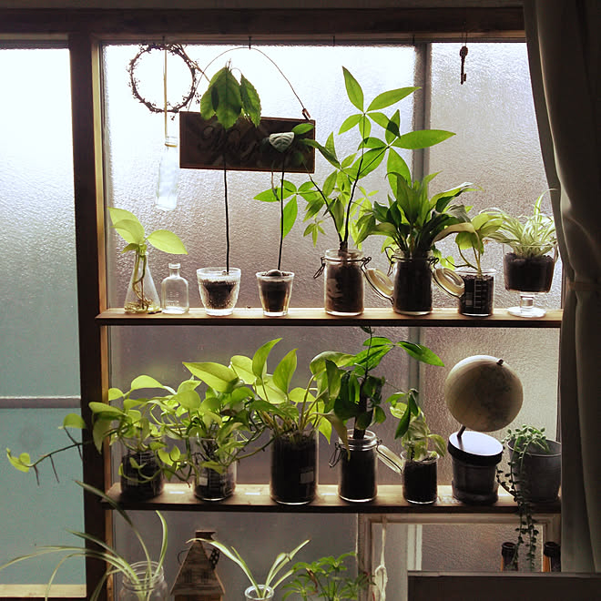 机 窓枠diy 観葉植物 アトリエのインテリア実例 17 08 12 01 03 Roomclip ルームクリップ