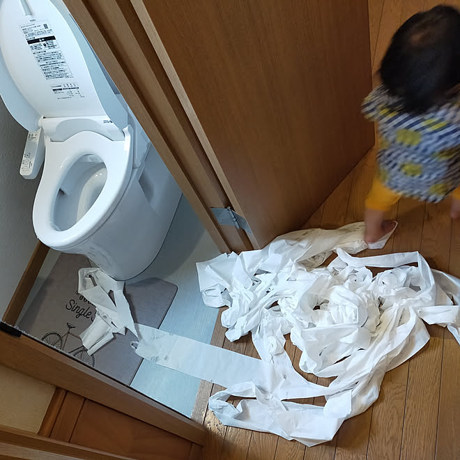 イタズラ記録 こどものいたずら こどもと暮らす 1歳児 ペーパー全出し などのインテリア実例 05 25 23 33 11 Roomclip ルームクリップ