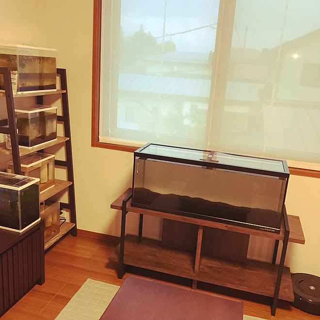 ルンバがいる暮らし ルンバe5 金魚水槽 めだか飼育 90cm水槽 などのインテリア実例 19 11 28 17 29 11 Roomclip ルームクリップ