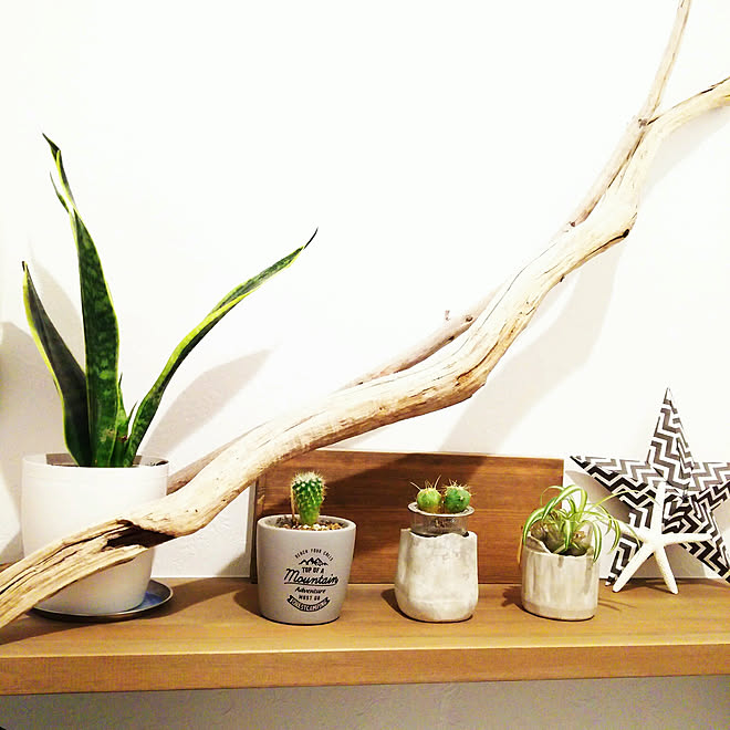 バス/トイレ/植木鉢/グリーンのある暮らし/カフェ風インテリア/サボテン&hellip;などのインテリア実例 20180607 214719