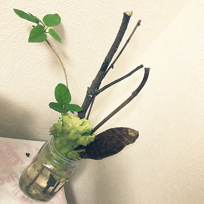 DIY/一人暮らし/観葉植物/玄関/入り口のインテリア実例 - 2019-11-19 18:31:15