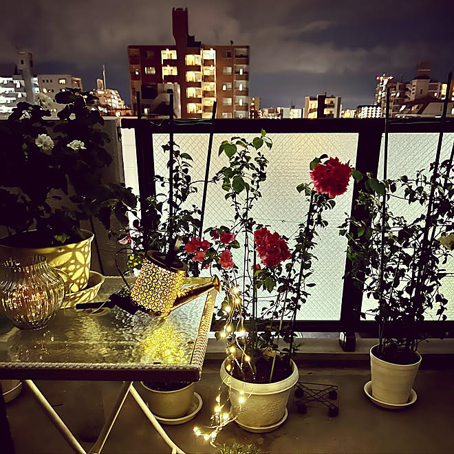 おしゃれに飾ろう アンティーク風の鳥かごを使った寄せ植えの作り方 Lovegreen ラブグリーン 床吊り鳥かご装飾レトロガーデニング多肉植物園芸マイクロランドスケープ手作り Vladatk Kim Ba