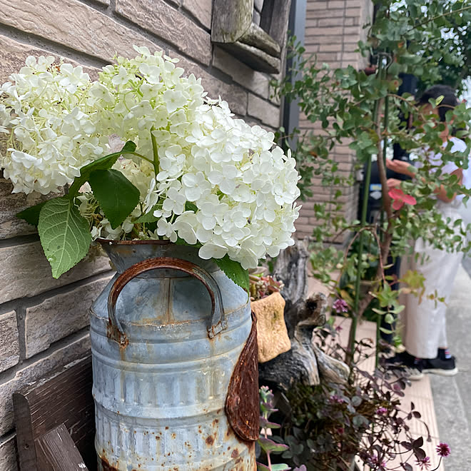 サイディング ブリキ雑貨 ユーカリ ブラッククローバー ガーデニング などのインテリア実例 21 06 14 15 57 26 Roomclip ルームクリップ