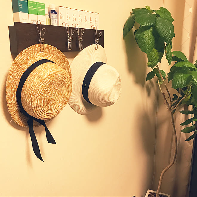 リビング ぼうしかけ 帽子の収納 無印良品 観葉植物 などのインテリア実例 17 07 23 22 40 33 Roomclip ルームクリップ