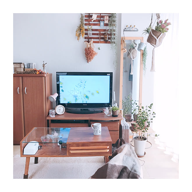 1k 緑のある暮らし Niko And 一人暮らし いなざうるす屋さん などのインテリア実例 19 05 18 09 47 18 Roomclip ルームクリップ