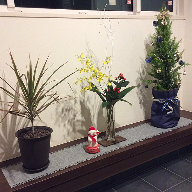 玄関ベンチ/ゴールドクレスト/クリスマス/ブラウン/平屋...などのインテリア実例 - 2019-11-30 23:45:25