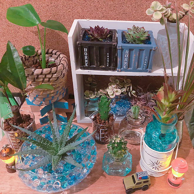 壁 天井 夏仕様 根を洗う و 土落とす و 板乗せただけ などのインテリア実例 18 05 25 04 52 29 Roomclip ルームクリップ