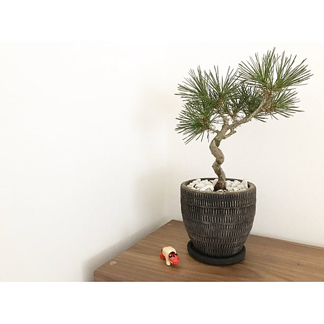 ガチャガチャ/赤べこ/和/ミニ松/シンプル...などのインテリア実例 - 2020-01-21 22:40:31