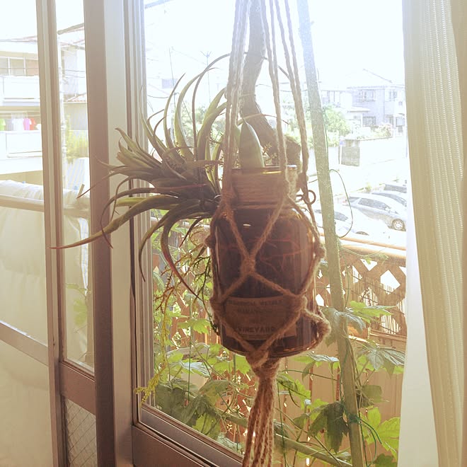ベランダ/プラントハンガー/植物/観葉植物/salut!...などのインテリア実例 - 2015-07-10 12:05:10