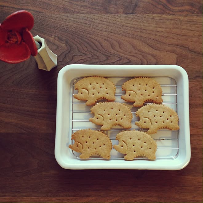 キッチン/ハリネズミクッキー/なかしましほ/野田琺瑯 ホワイトシリーズ/手作りのインテリア実例 201503