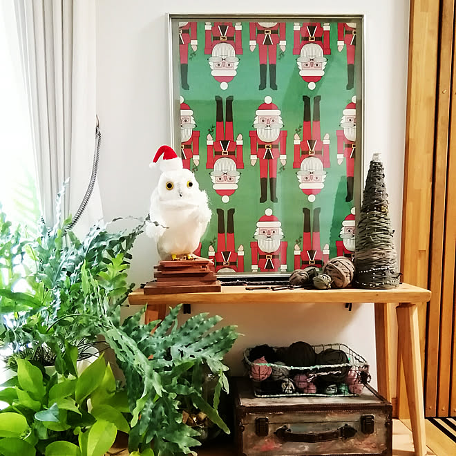 棚/クリスマス/Tシャツヤーン/観葉植物のある暮らし/ライムポトス&hellip;などのインテリア実例 20181128 131641