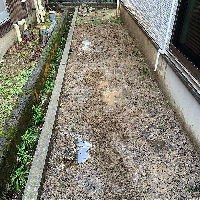 狭い庭 庭づくり 土壌改良 水はけ悪い庭 玄関 入り口のインテリア実例 06 08 13 57 34 Roomclip ルームクリップ