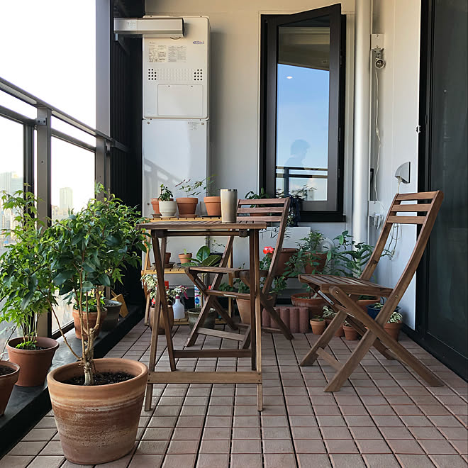 観葉植物 ベランダ ベンジャミン ベランダガーデン ウッドタイル などのインテリア実例 19 05 05 16 59 01 Roomclip ルームクリップ 観葉植物 ベランダ ベンジャミン ベランダガーデン ウッドタイル などのインテリア実例 19 05 05 16 59 01 Roomclip ルームクリップ