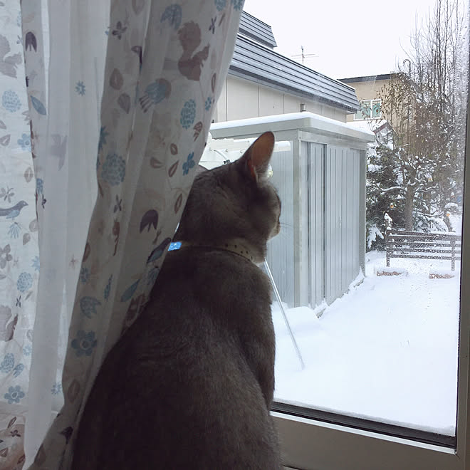 ベッド周り 結露防止対策したけど結露出る 出窓のある暮らし カーテン Ykk Ap窓 などのインテリア実例 18 12 08 21 03 42 Roomclip ルームクリップ