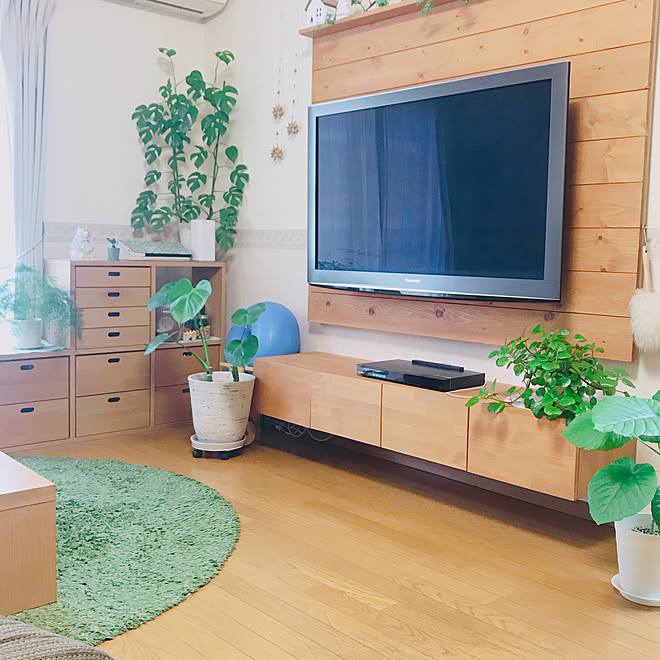 スウェーデンアイビー 北欧ナチュラル 北欧インテリア 観葉植物のある暮らし 無印良品 などのインテリア実例 19 08 31 07 05 Roomclip ルームクリップ スウェーデンアイビー 北欧ナチュラル 北欧インテリア 観葉植物のある暮らし 無印良品 などのインテリア実例 19 08 31 07 05 Roomclip ルームクリップ