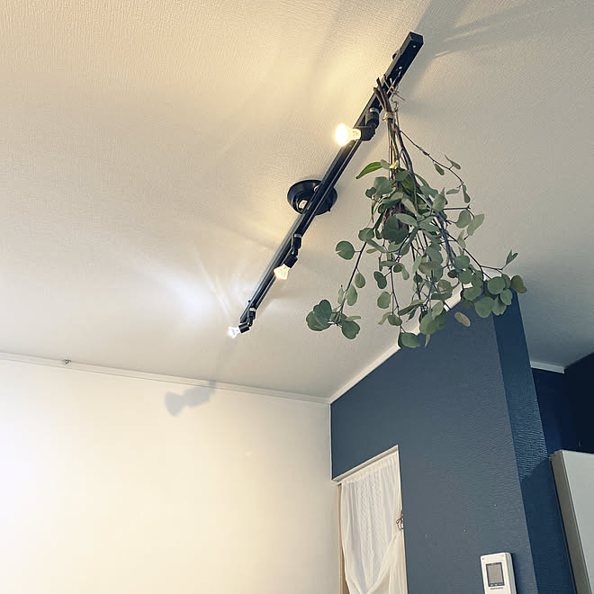 吊り下げグリーン ユーカリ ドライフラワー ダクトレール スポットライト 壁 天井 照明のインテリア実例 21 05 01 09 51 28 Roomclip ルームクリップ 吊り下げグリーン ユーカリ ドライフラワー ダクトレール スポットライト 壁 天井 照明のインテリア実例 21 05 01 09 51 28 Roomclip ルームクリップ