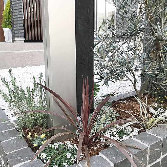 部屋全体 ラベンダーアボンビュー ロータスブリムストーン コルジリネ レッドスター モクビャッコウ などのインテリア実例 18 01 12 08 02 50 Roomclip ルームクリップ