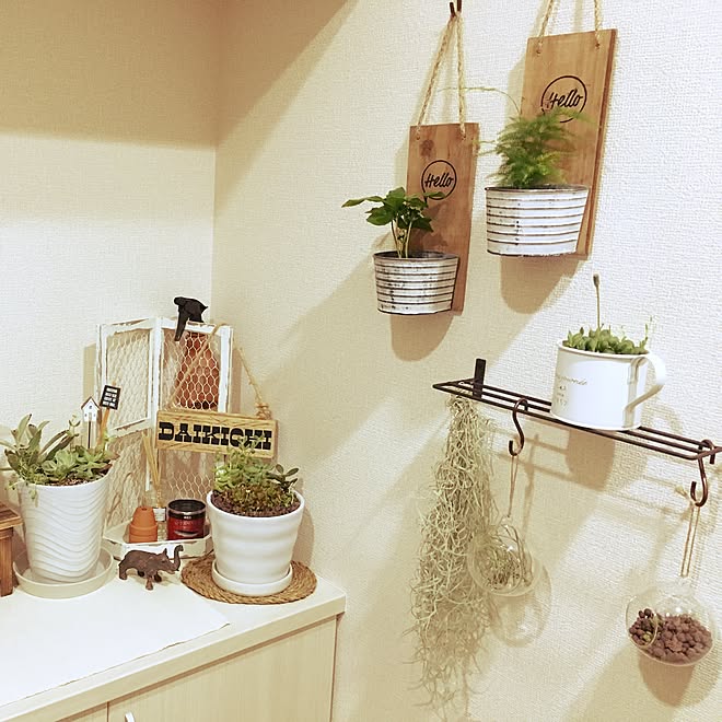 玄関 入り口 島忠ホームズ エアープランツ 多肉植物 雑貨 などのインテリア実例 17 04 23 22 19 57 Roomclip ルームクリップ