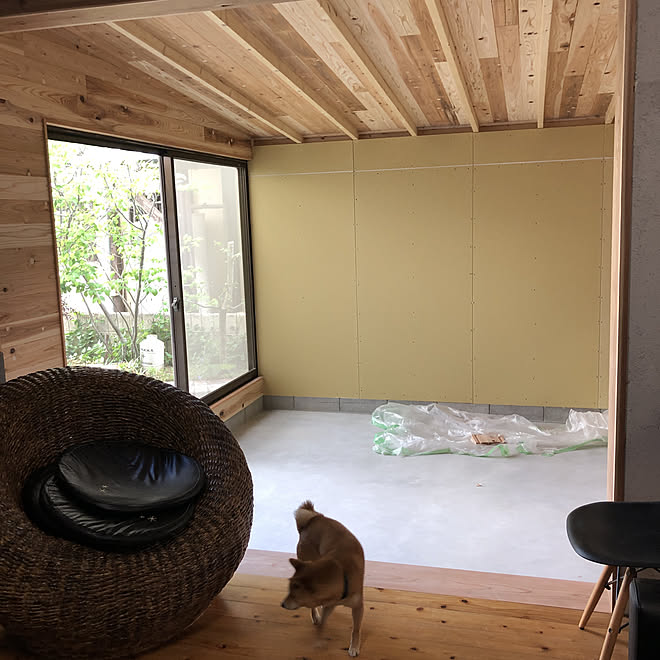 犬と暮らす 中古住宅 第二のリビング 土間リビング 増築中 などのインテリア実例 21 05 01 15 56 23 Roomclip ルームクリップ