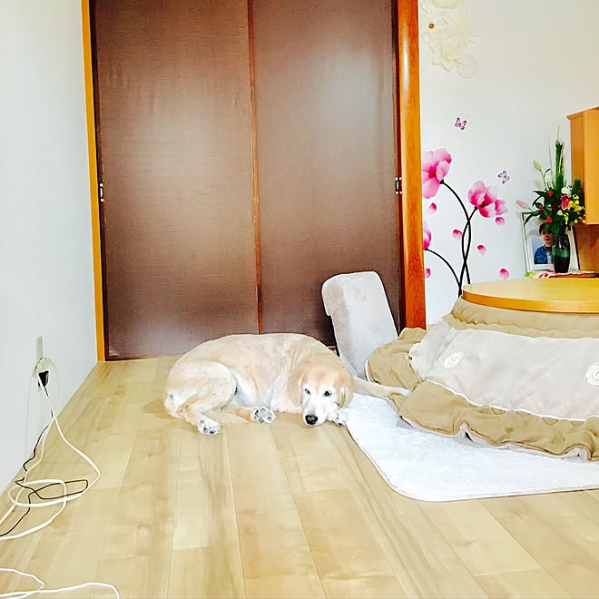 部屋全体 Francfranc ウォールステッカー ふすまに壁紙 和室を改造 などのインテリア実例 16 12 30 10 21 21 Roomclip ルームクリップ 部屋全体 Francfranc ウォールステッカー ふすまに壁紙 和室を改造 などのインテリア実例 16 12 30 10 21 21 Roomclip ルームクリップ