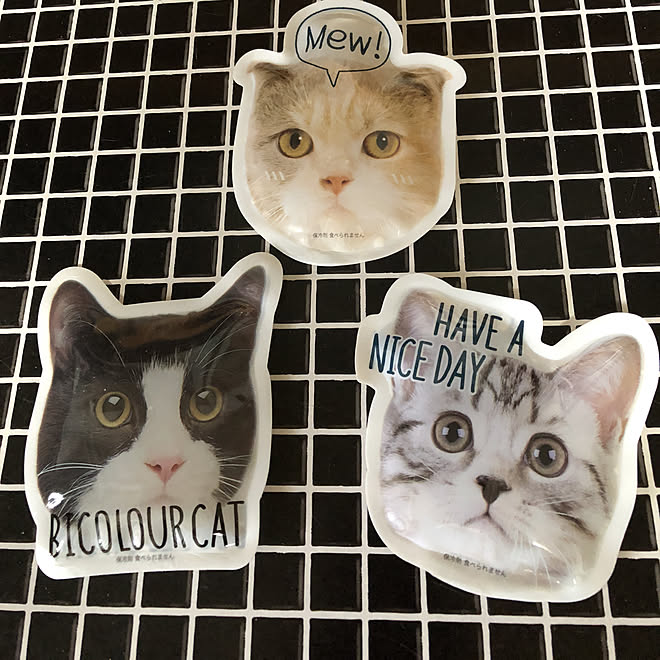 キッチン 猫が大好き セリアのキッチン雑貨 保冷剤のインテリア実例 18 07 07 17 19 57 Roomclip ルームクリップ キッチン 猫が大好き セリアのキッチン雑貨 保冷剤のインテリア実例 18 07 07 17 19 57 Roomclip ルームクリップ