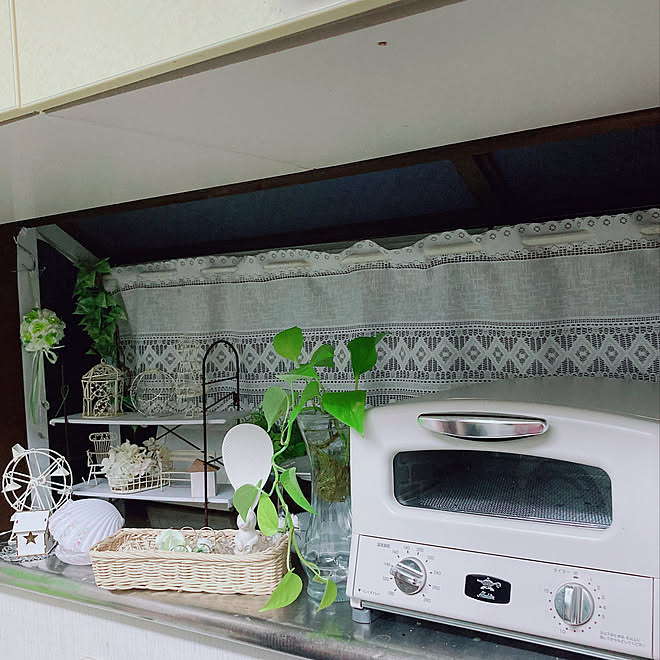 ダイソー雑貨 Seriaの雑貨 100均リメイク アラジントースター 水差しアイビー などのインテリア実例 22 02 21 18 05 27 Roomclip ルームクリップ