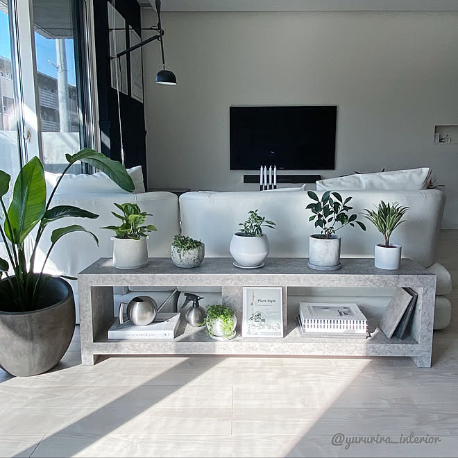 観葉植物 ホワイトインテリア 積水ハウス 北欧雑貨 白黒 などのインテリア実例 04 07 14 37 11 Roomclip ルームクリップ