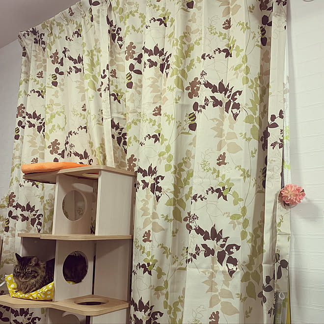 友情 緯度 飢えた ビバホーム カーテン Thelearnedmediator Com