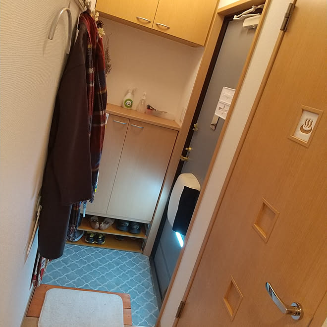 玄関 入り口 賃貸 断熱 防寒 プラダンdiy などのインテリア実例 21 01 14 18 26 50 Roomclip ルームクリップ