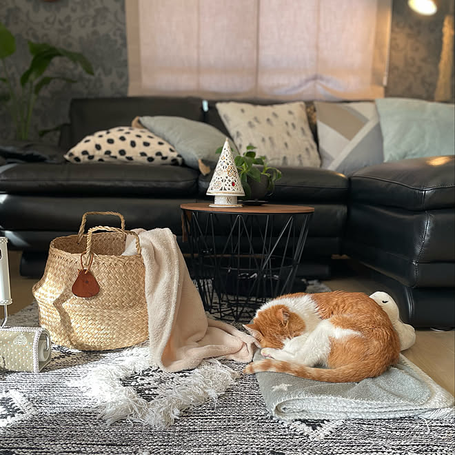 ワイヤーバスケット 籠. BoConcept