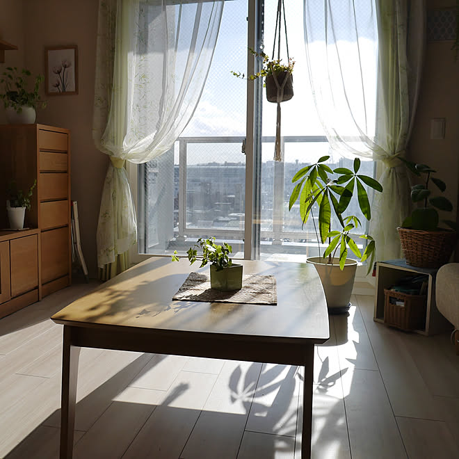 窓辺の風景 観葉植物のある暮らし リビングテーブル 北欧インテリア 北欧ナチュラル などのインテリア実例 19 12 15 09 28 43 Roomclip ルームクリップ