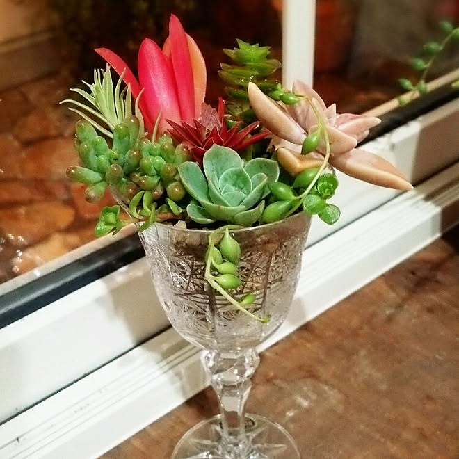 部屋全体/多肉植物/ハンドメイド/リメイクのインテリア実例 - 2016-03-11 19:42:34