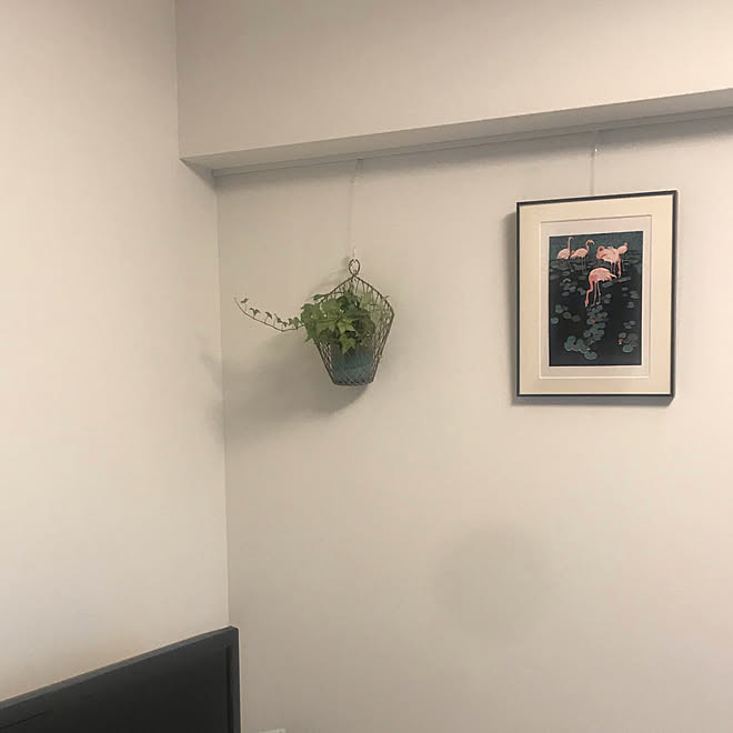 ピクチャーレール 観葉植物 リビングのインテリア実例 02 02 16 50 37 Roomclip ルームクリップ ピクチャーレール 観葉植物 リビングのインテリア実例 02 02 16 50 37 Roomclip ルームクリップ