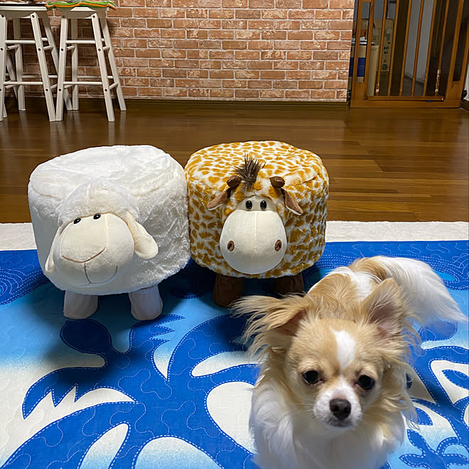 いす 東京インテリア 東京インテリア雑貨 リビングのインテリア実例 07 08 30 41 Roomclip ルームクリップ