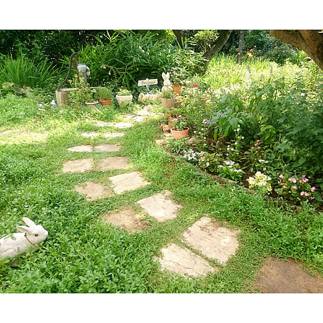 玄関 入り口 ヒメイワダレソウ 庭 花壇 庭のアプローチ などのインテリア実例 19 07 30 16 30 52 Roomclip ルームクリップ