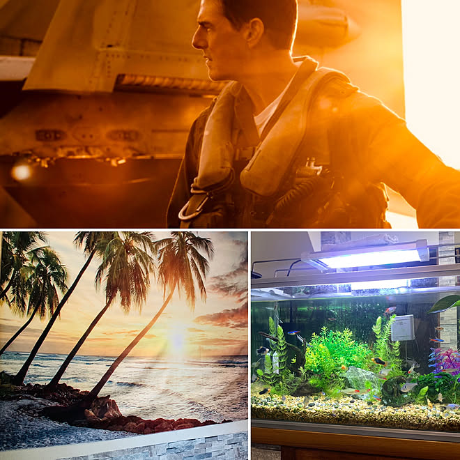 50センチ水槽 ネオンテトラ アクアリウムのある暮らし アクアリウム タペストリー などのインテリア実例 21 09 05 18 36 38 Roomclip ルームクリップ