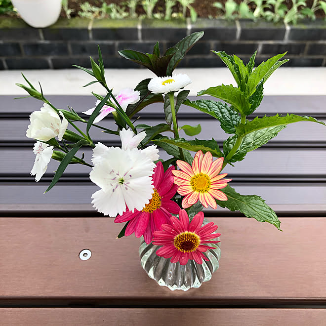 デイジー スペアミント ペパーミント ナデシコ コンバーチブルベンチ２way などのインテリア実例 21 05 13 08 25 01 Roomclip ルームクリップ