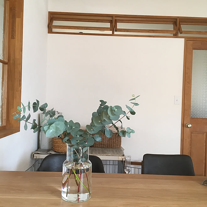 リビング グリーンのある暮らし ユーカリ 室内窓 開閉窓 などのインテリア実例 18 11 03 17 17 19 Roomclip ルームクリップ