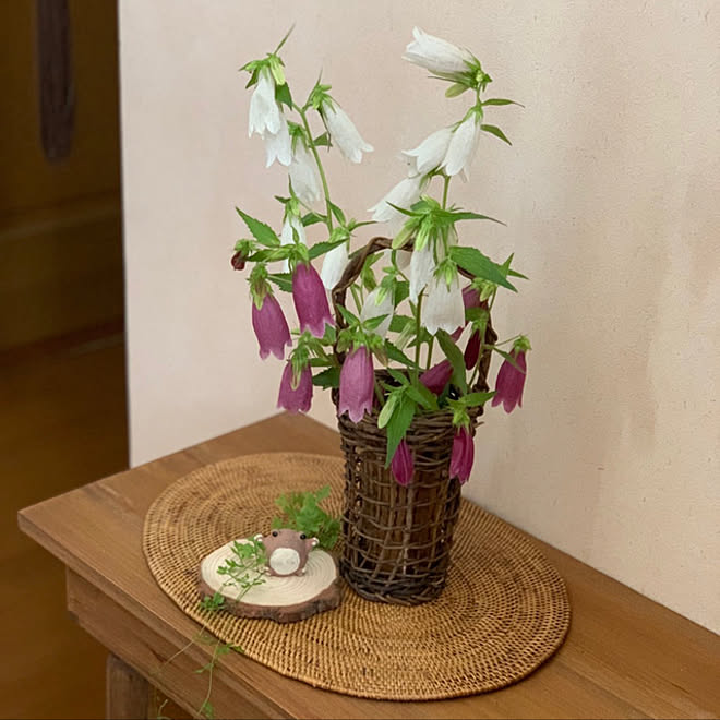 ホタルブクロ カニクサ 籠 カエルの置物 アタマット などのインテリア実例 22 05 28 18 17 21 Roomclip ルームクリップ ホタルブクロ カニクサ 籠 カエルの置物 アタマット などのインテリア実例 22 05 28 18 17 21 Roomclip ルームクリップ