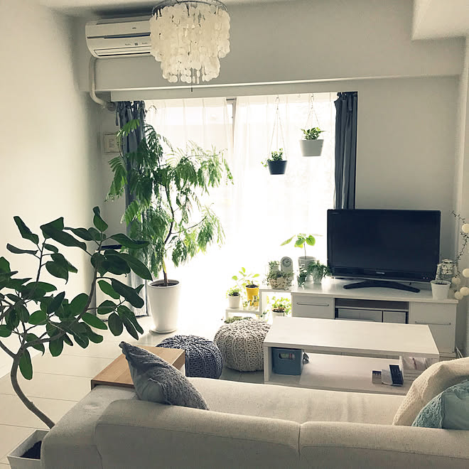 リビング 観葉植物 1ldk マンション ひとり暮らし などのインテリア実例 18 04 03 52 35 Roomclip ルームクリップ