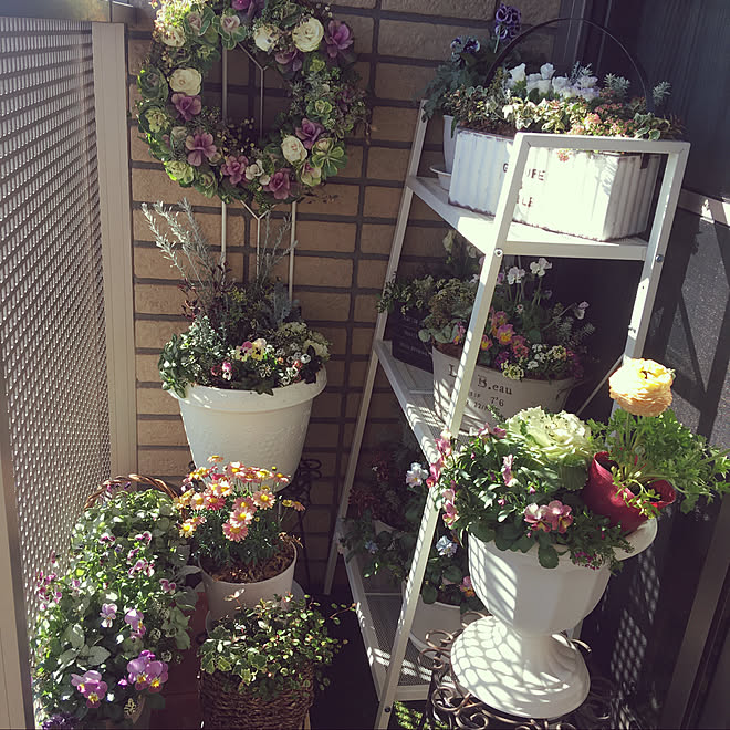 ガーデンラック 山善 100均 セリア 人工芝 などのインテリア実例 21 01 21 19 13 33 Roomclip ルームクリップ