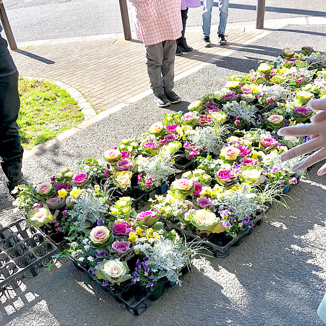 玄関 入り口 講習会 冬花 葉牡丹寄せ植え ハンギングバスケット講習会 などのインテリア実例 17 12 10 00 16 17 Roomclip ルームクリップ