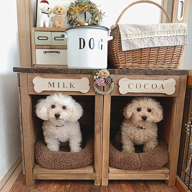 クッションフロアー 敷きました 犬小屋diy いぬのいる暮らし 犬小屋にしめ縄 愛犬と暮らす家 などのインテリア実例 22 01 05 13 15 55 Roomclip ルームクリップ