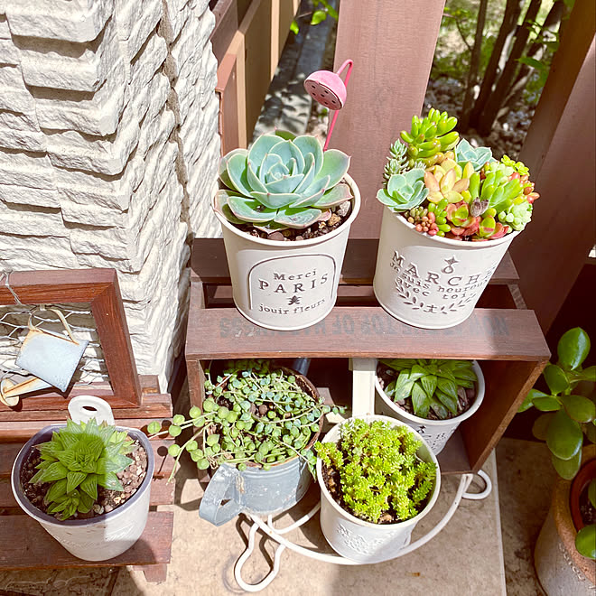 多肉植物寄せ植え 玄関 入り口のインテリア実例 05 10 14 55 Roomclip ルームクリップ 多肉植物寄せ植え 玄関 入り口のインテリア実例 05 10 14 55 Roomclip ルームクリップ